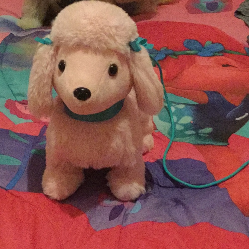 toy dog